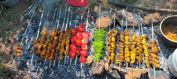 از شما/اینم از کباب زغالی ما تو باغ خودمون😋