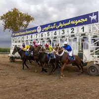 روز دوم هفته پانزدهم اسبدوانی گنبدکاووس برگزار شد