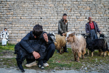 مراسم سنتی «پیرشالیار»