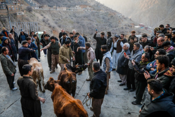 مراسم سنتی «پیرشالیار»