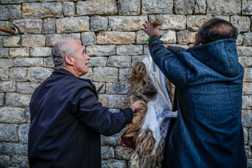 مراسم سنتی «پیرشالیار»