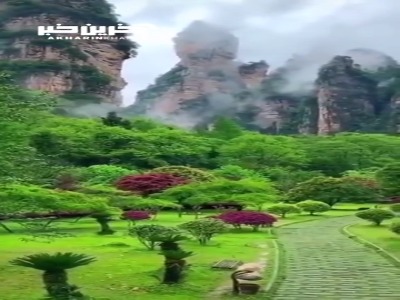 پارک جنگلی Zhangjiazze در چین