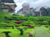 پارک جنگلی Zhangjiazze در چین 