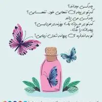 چه کسی می داند که تو در پیله تنهایی خود تنهایی