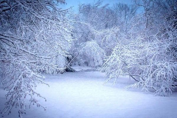 برف و کولاک در راه گیلان؛ دما 16 درجه کاهش می‌یابد