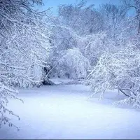 برف و کولاک در راه گیلان؛ دما ۱۶ درجه کاهش می‌یابد