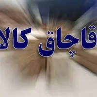 توقیف خودروی حامل غذای حیوانات خانگی قاچاق در کبودراهنگ