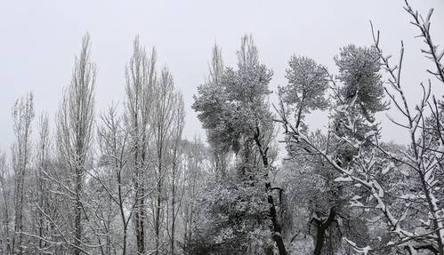 دما در آذربایجان غربی تا 12 درجه کاهش می‌یابد