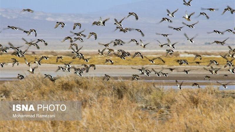 چشم‌انداز ۲۵ سال آینده تالاب کجی؛ زیست بومی پایدار و پویا