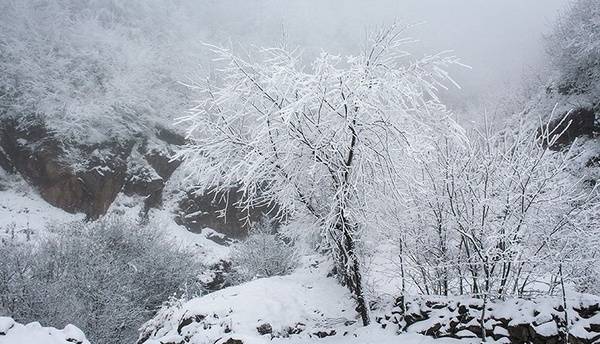 هشدار نارنجی هواشناسی مازندران برای بارش برف و باران