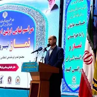 استاندار گیلان: درآمد واردکنندگان چای ۷ برابر چایکاران است