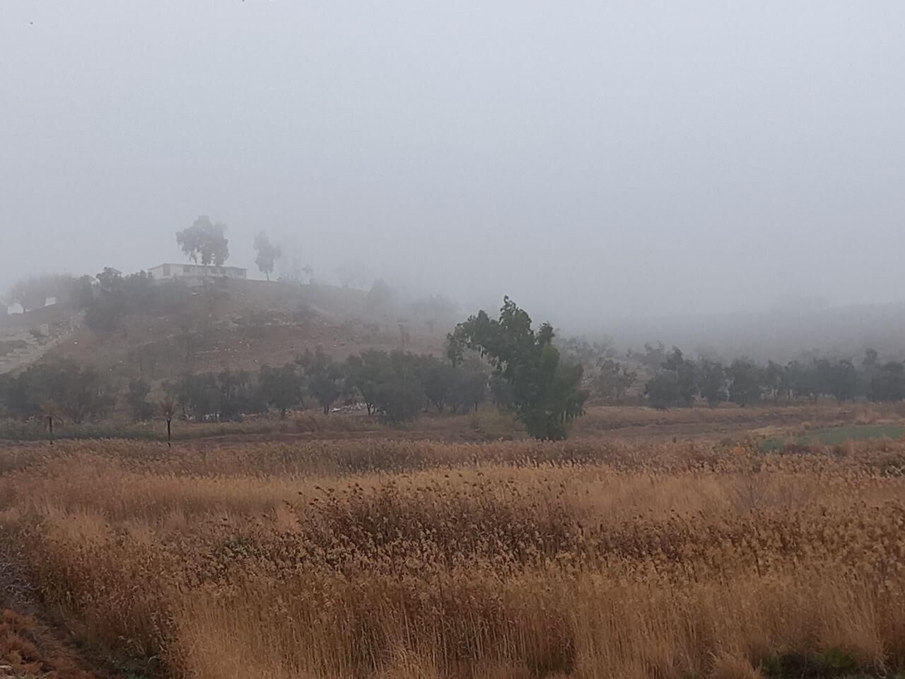 گردوغبار قصرشیرین را فرا گرفت