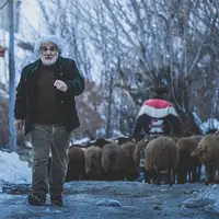 «چشم بادومی» فیلمی جسورانه است