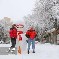 عکس/ خودنمایی زمستان با بارش اولین برف در اهر