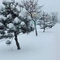 تداوم بارش برف و باران در استان مرکزی تا صبح فردا