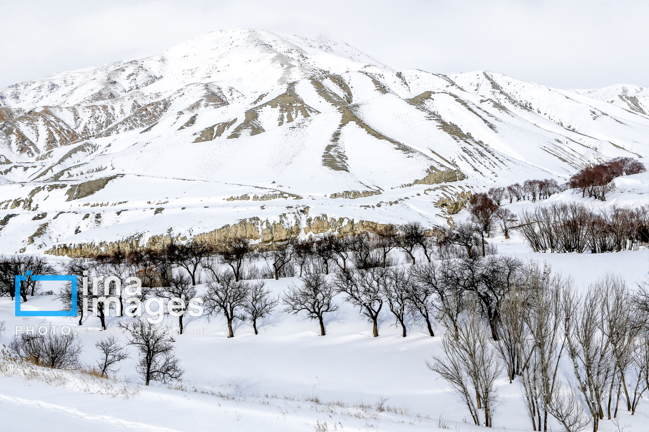 عکس/ طبیعت برفی روستای شیبلی در آذربایجان شرقی