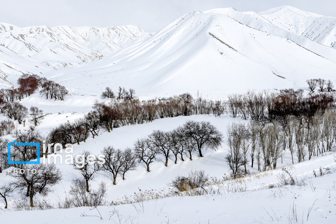 عکس/ طبیعت برفی روستای شیبلی در آذربایجان شرقی