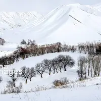 عکس/ طبیعت برفی روستای شیبلی در آذربایجان شرقی