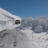 جریمه، سزای بستنی فروش متقلب شیرازی