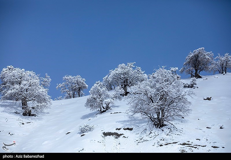 بارش برف در شهرستان الیگودرز لرستان