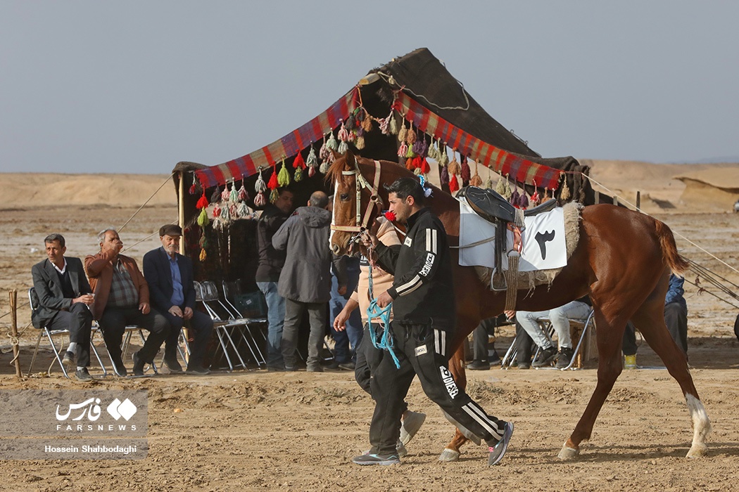 مسابقات اسب سواری کورس جام دهه فجر در قم