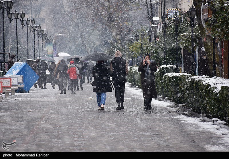 بارش زیبای برف در رشت