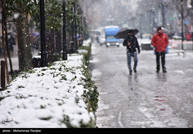 بارش زیبای برف در رشت