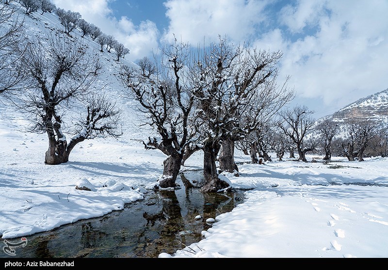 بارش برف در شهرستان الیگودرز لرستان