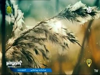 ترانه زیبای «آرزو» با صدای عماد فخیم