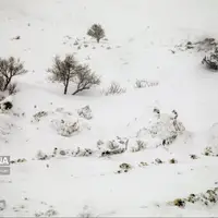 برف دوباره استان مرکزی را فرا می‌گیرد