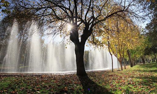 کاهش شدت سرما در خراسان رضوی