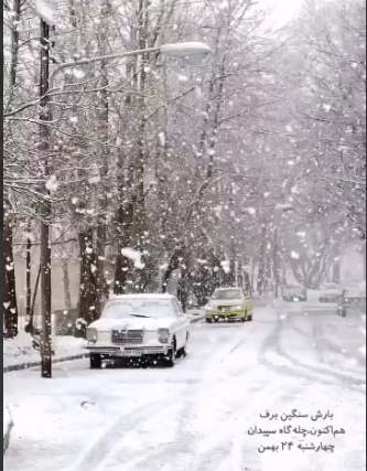 بارش زیبای برف در منطقه چله گاه سپیدان