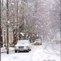 بارش زیبای برف در منطقه چله گاه سپیدان 