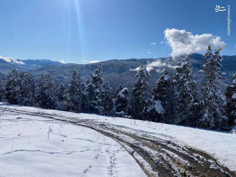 نمایی از اتریش ایران