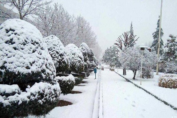 هواشناسی: دمای هوا در 20 مرکز استان دیشب به زیر صفر رسید