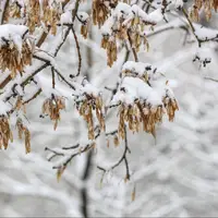 آذربایجان‌ غربی سردتر می‌شود؛ کولاک برف در راه است