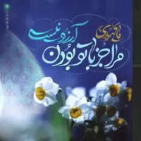 استوری/ ولادت امام زمان (عج) مبارک