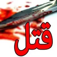 توضیحات همکلاسی دانشجوی مقتول دانشگاه تهران؛ ماجرا چه بود؟