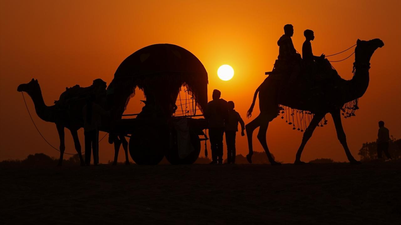 تصاویری دیدنی از شترها هنگام غروب آفتاب