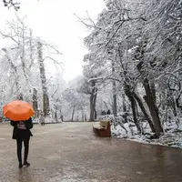 بارش برف و باران در تهران از دوشنبه