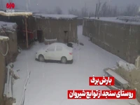 بارش برف در روستای سنجد خراسان شمالی