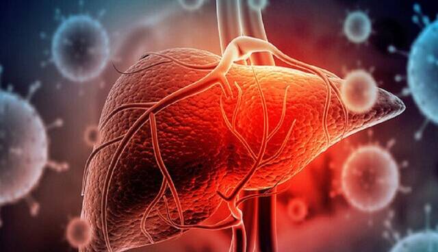 فرصت سوزی در درمان کبد چرب با مصرف خودسرانه دارو