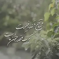 محتاج قِصه نیست گَرَت قصدِ خون ماست