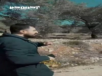 روایتی از بازپسگیری مناطق اشغال شده لبنان با دست خالی