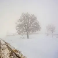 ورود سامانه بارشی به کردستان؛ کاهش محسوس دمای هوا