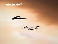 تایپوگرافی از آهنگ جدید محسن چاوشی/ «آخرین پرنده ام»