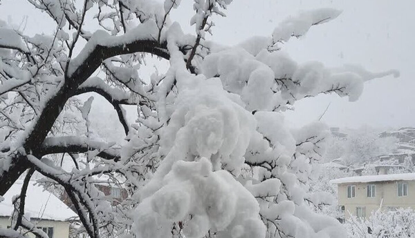 کشیک برفی در مازندران