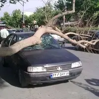 وزش باد شدید در اصفهان خسارت به بار آورد