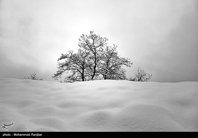 عکس/ طبیعت برفی مسیر سیاهکل به دیلمان