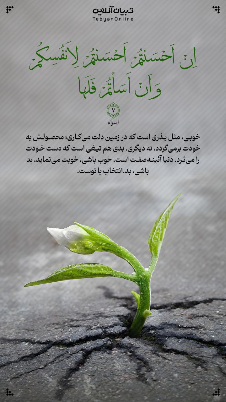 طرح/ خوبی، مثل بذری است که در زمین دلت می‌کاری
